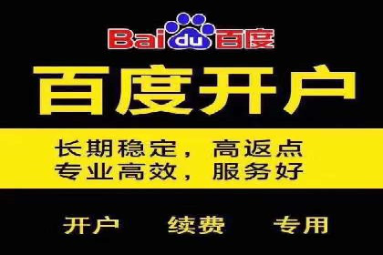 SEM广告投放策略：成功案例解析